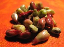 Rostlinné tuky a oleje - Oleje s majoritní kyselinou linolovou Olej z hroznových semen INCI: Vitis Vinifera (Grape) Seed Oil vedlejší produkt při výrobě vína získáván lisováním za studena nebo