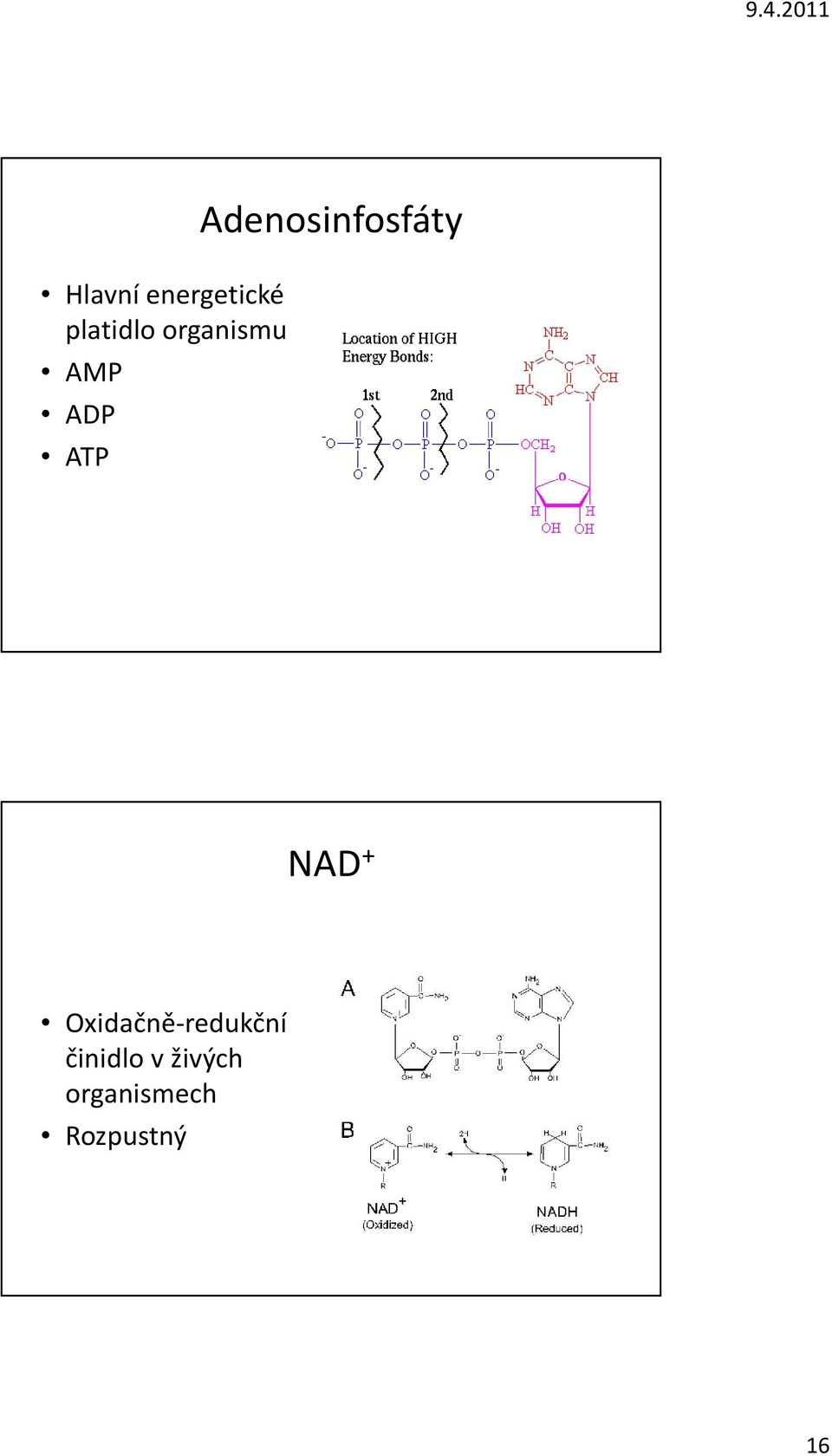 Adenosinfosfáty NAD +