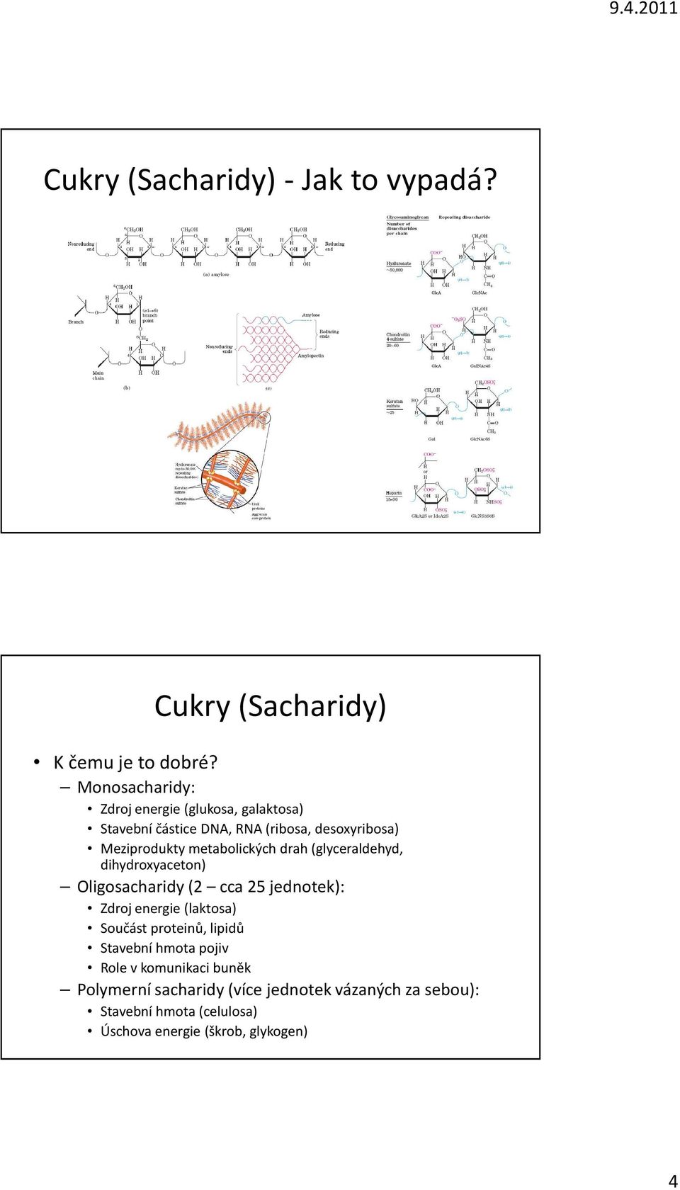 metabolických drah (glyceraldehyd, dihydroxyaceton) Oligosacharidy (2 cca 25 jednotek): Zdroj energie (laktosa) Součást