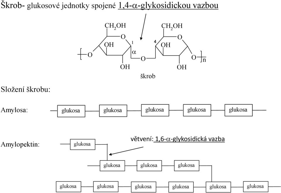 glukosa Amylopektin: glukosa větvení: 1,6- -glykosidická vazba