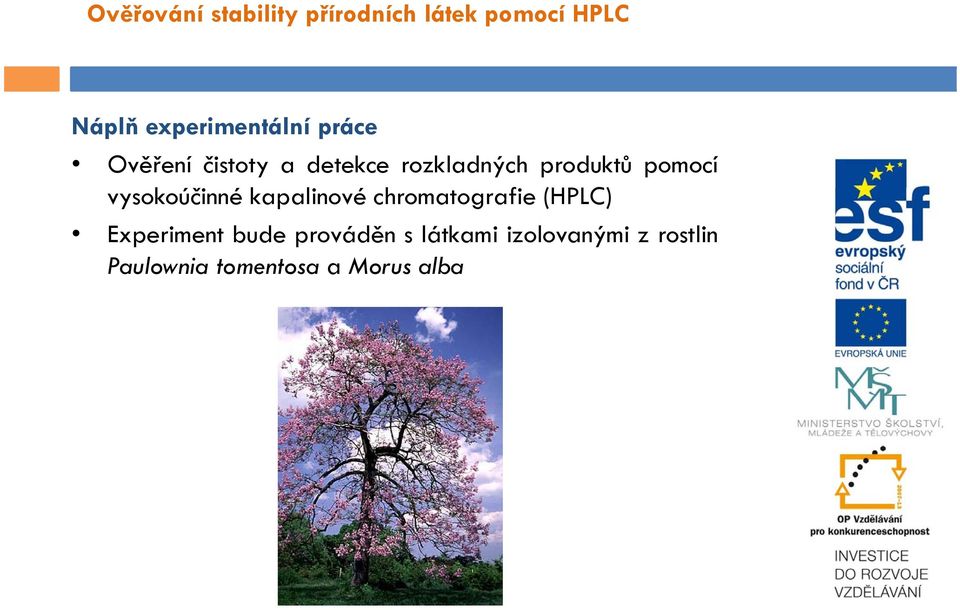 kapalinové chromatografie (HPLC) Experiment bude prováděn s