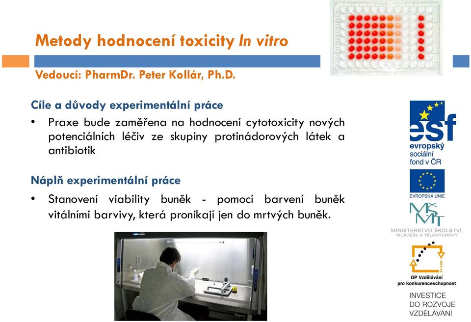 Cíle a důvody experimentální práce Praxe bude zaměřena na hodnocení cytotoxicity