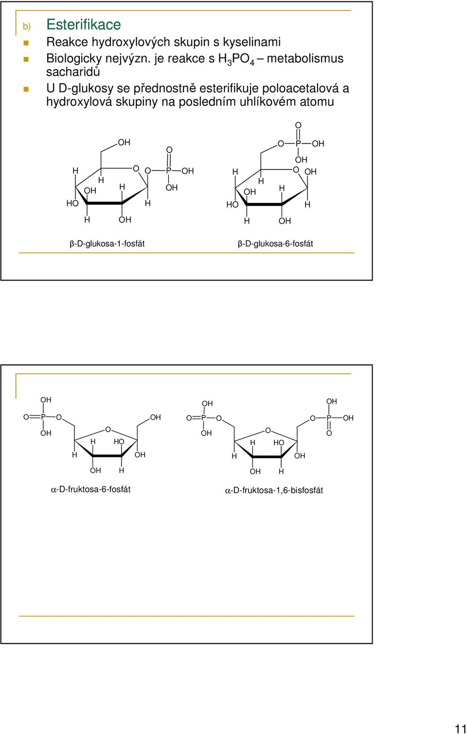 poloacetalová a hydroxylová skupiny na posledním uhlíkovém atomu P P