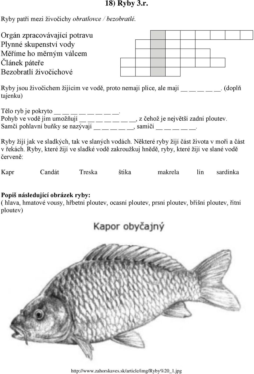 (doplň tajenku) Tělo ryb je pokryto. Pohyb ve vodě jim umožňují, z čehož je největší zadní ploutev. Samčí pohlavní buňky se nazývají, samičí. Ryby žijí jak ve sladkých, tak ve slaných vodách.