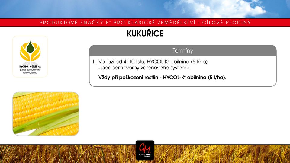 Ve fázi od 4-10 listu, HYCOL-K + obilnina (5 l/ha) - podpora tvorby